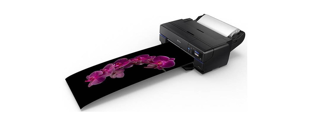 Find the Ideal Printer for Your Home or Office Setup