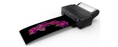 Find the Ideal Printer for Your Home or Office Setup